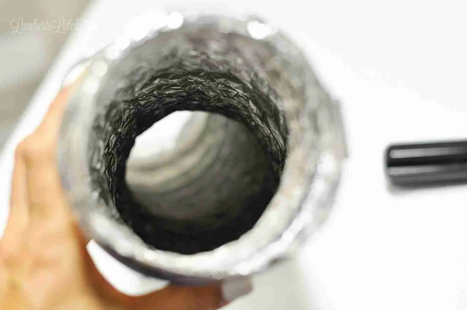 inside of a dryer vent hose