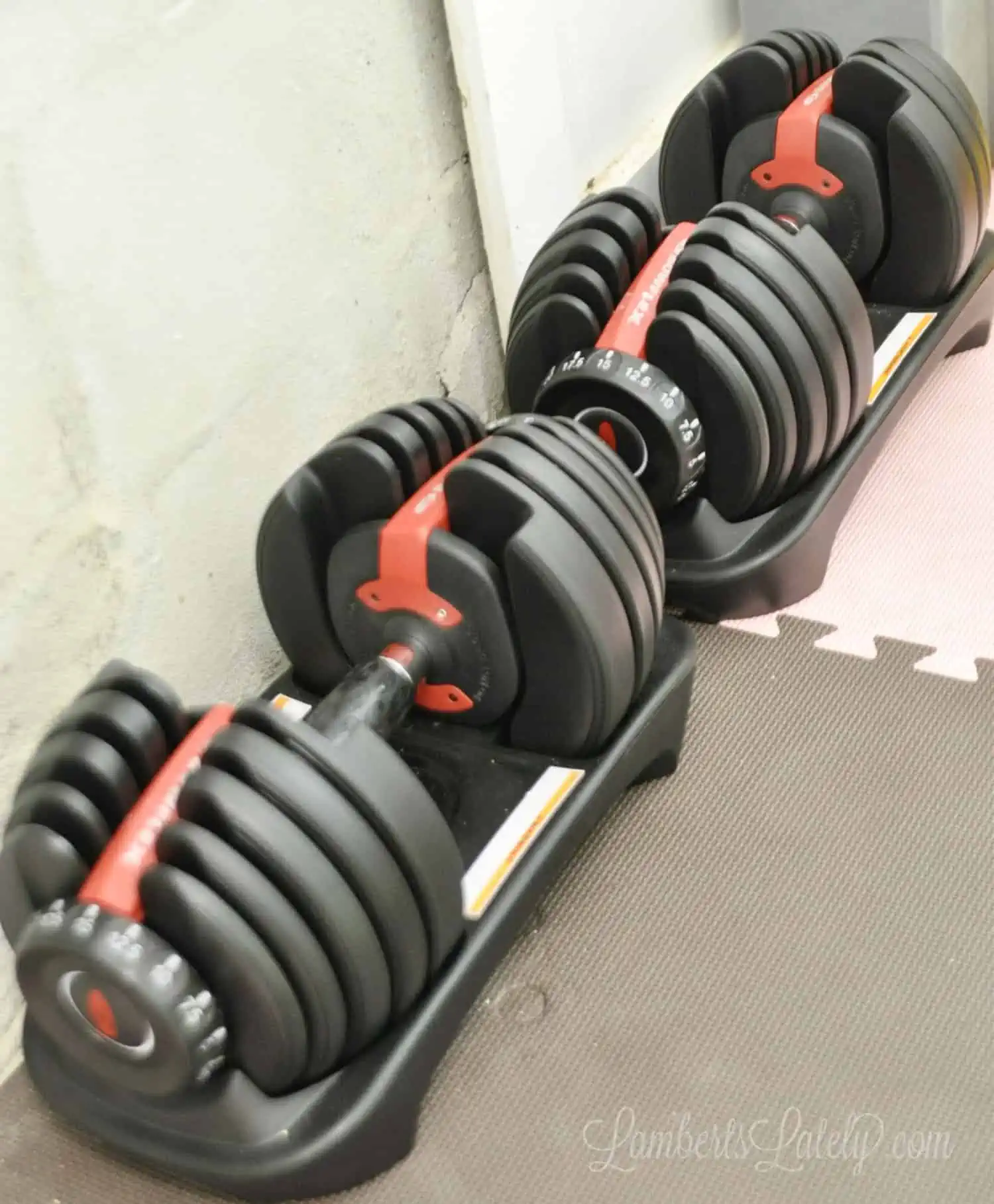Bowflex adjustable dumbbells.