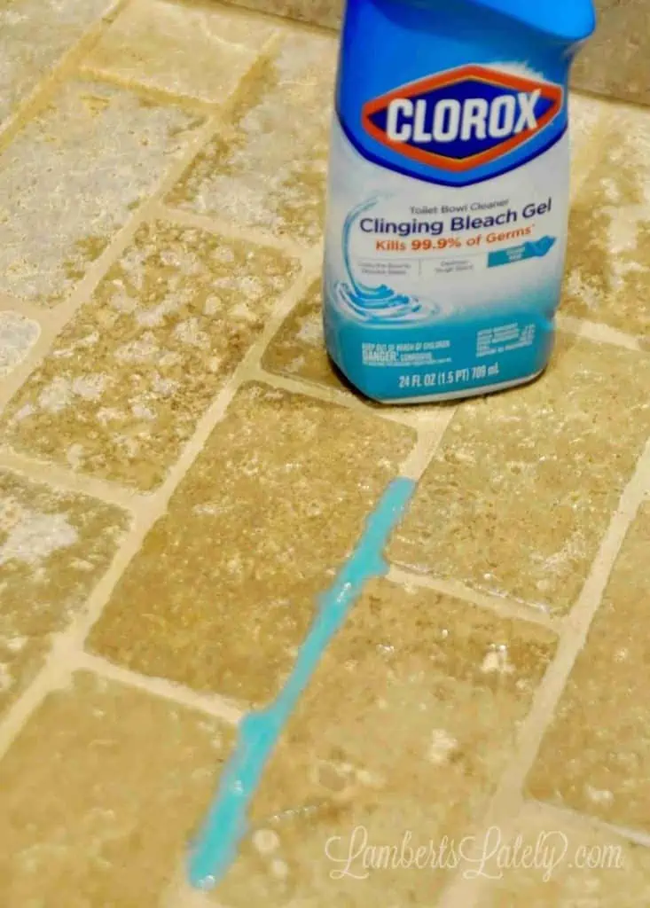 toilet bowl cleaner on shower tile grout to clean.