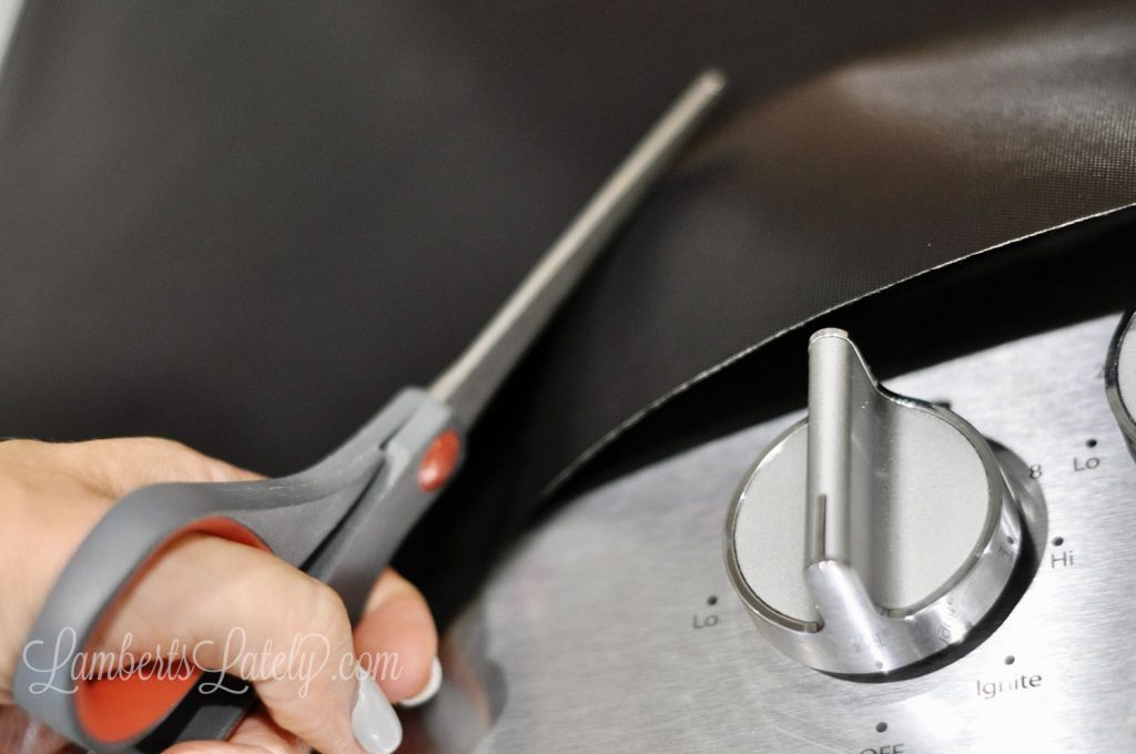 cutting splatter guard with scissors