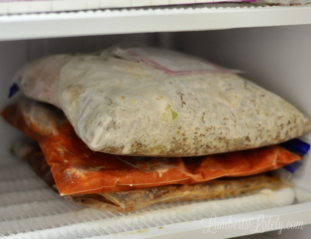 freezer meals frozen flat in gallon plastic bags.