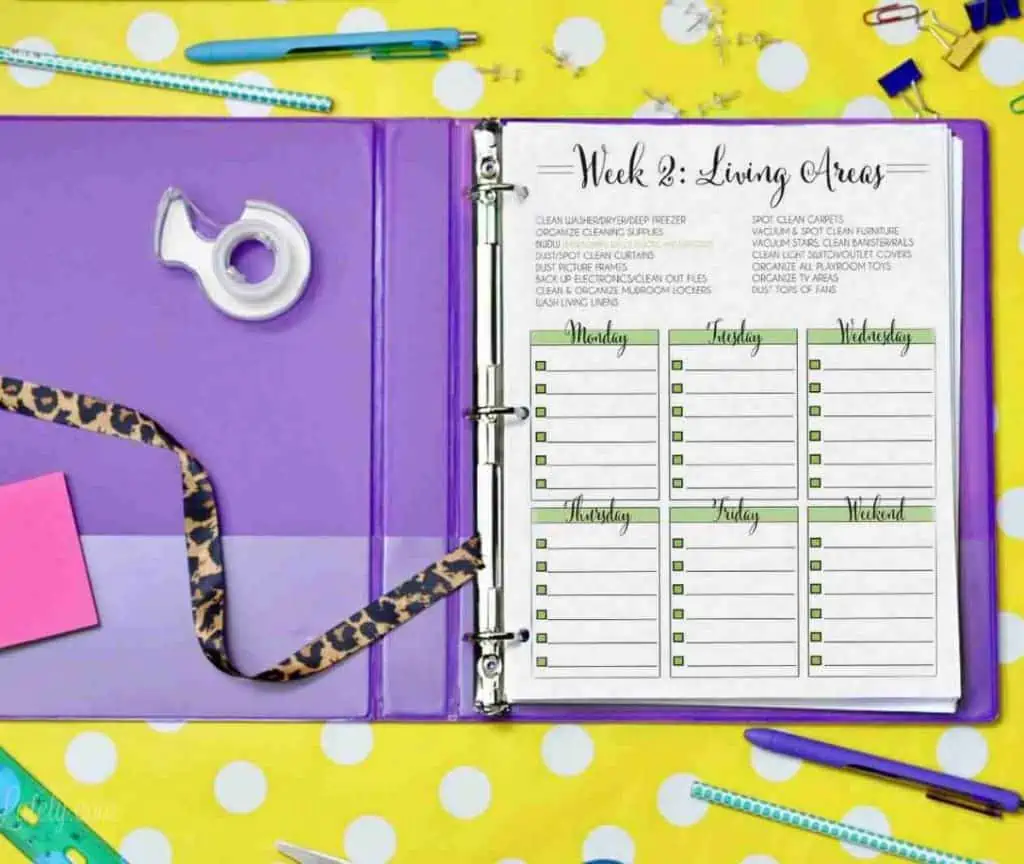 weekly cleaning schedule