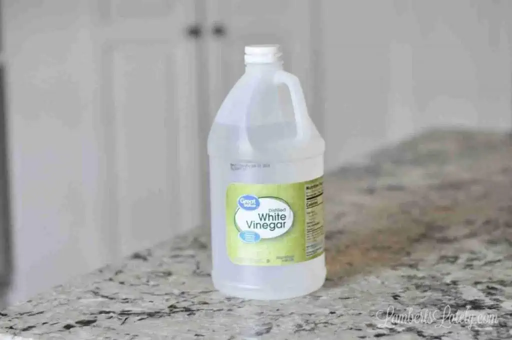 bottle of white vinegar.