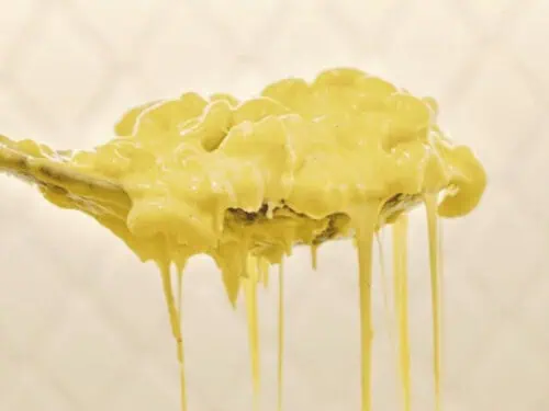 holding a spoon of mac and cheese above an instant pot.