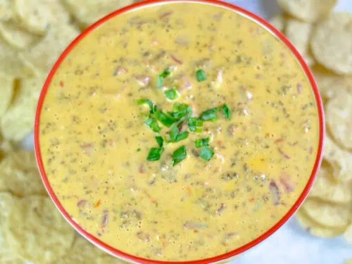 bowl of rotel dip topped with green onions, surrounded by tortilla chips.