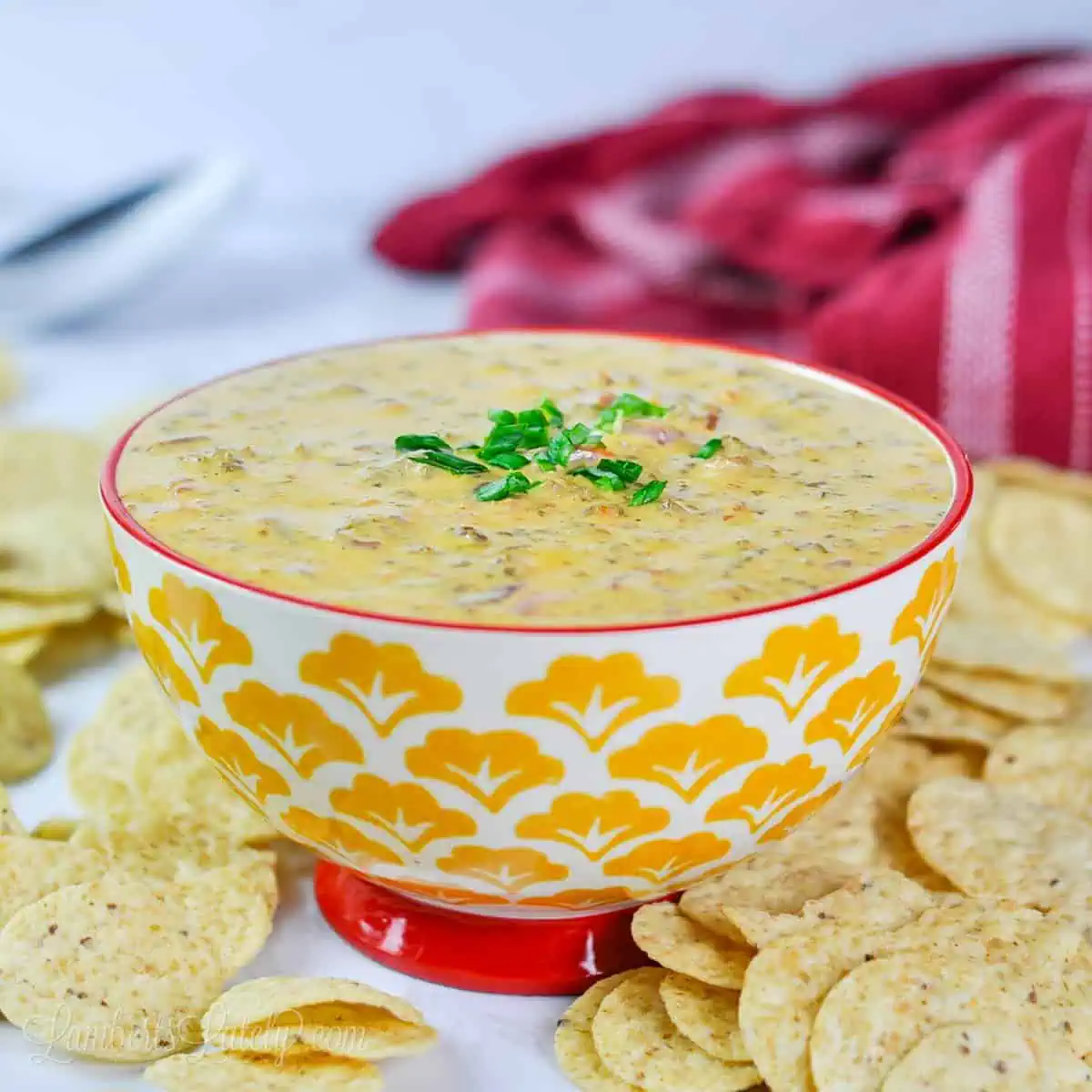rotel dip in a bowl topped with green onions, surrounded by tortilla chips.