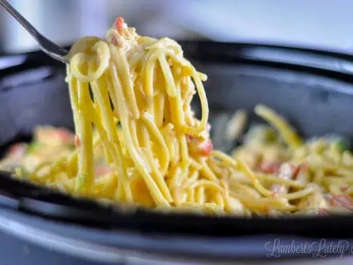 pulling a fork full of chicken spaghetti out of a crock pot.