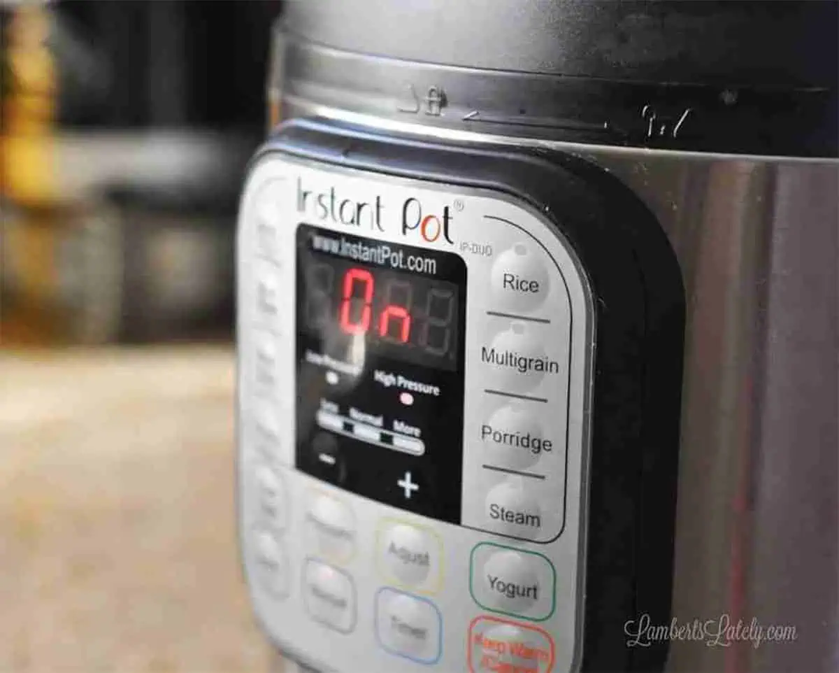 Instant Pot Frequently Asked Questions