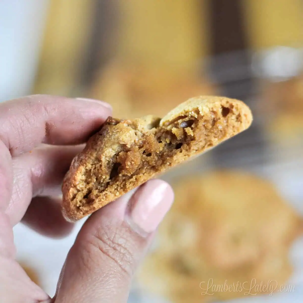 holding half of a peanut butter cookie.