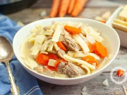 chicken noodle soup with carrots in a bowl.