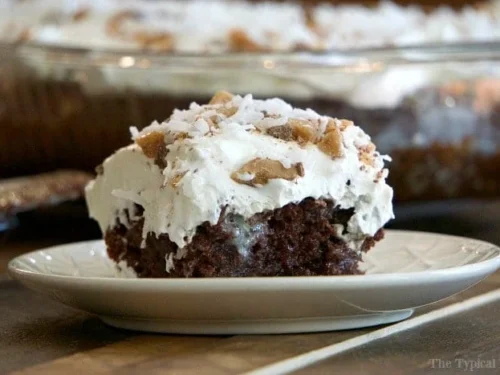 chocolate coconut poke cake on a plate.