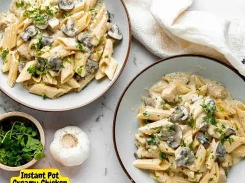 two bowls of chicken and mushroom pasta.