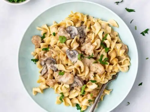 chicken stroganoff on a plate.