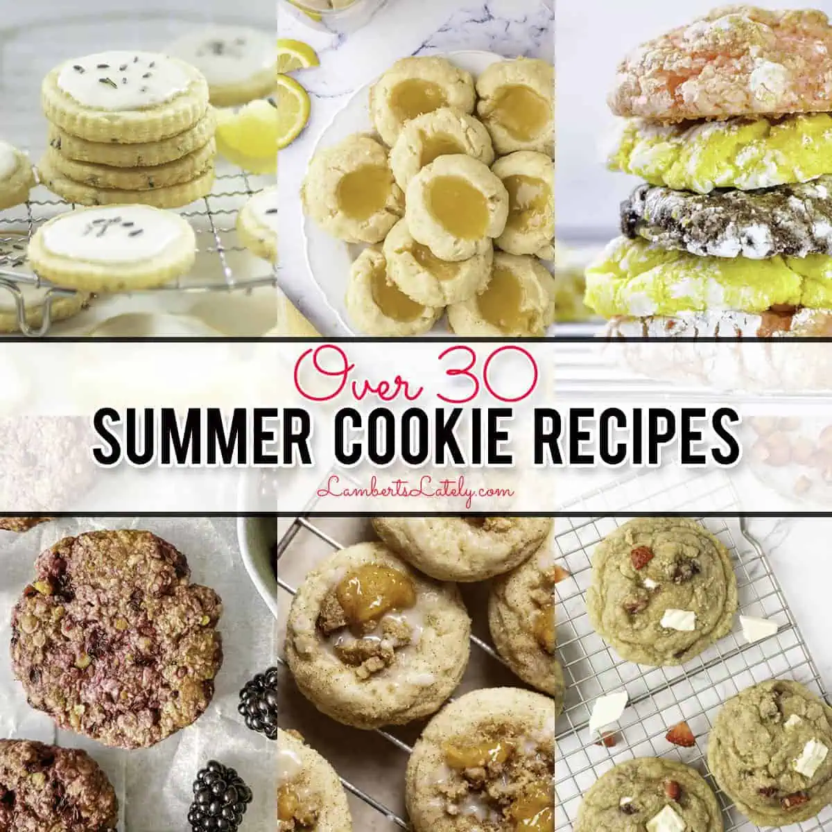 over 30 summer cookie recipes, collage of cookie pictures.