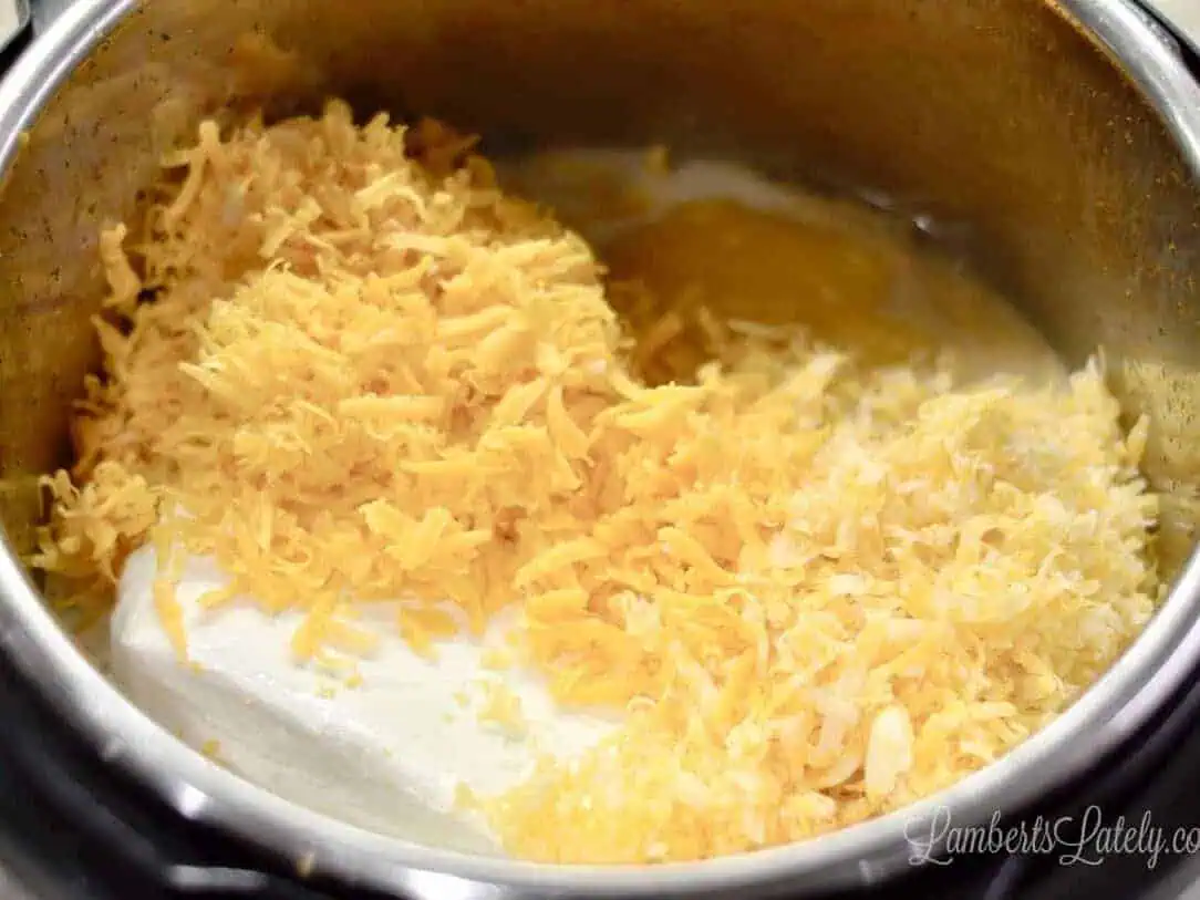 cheese and cheese soup added to the instant pot.