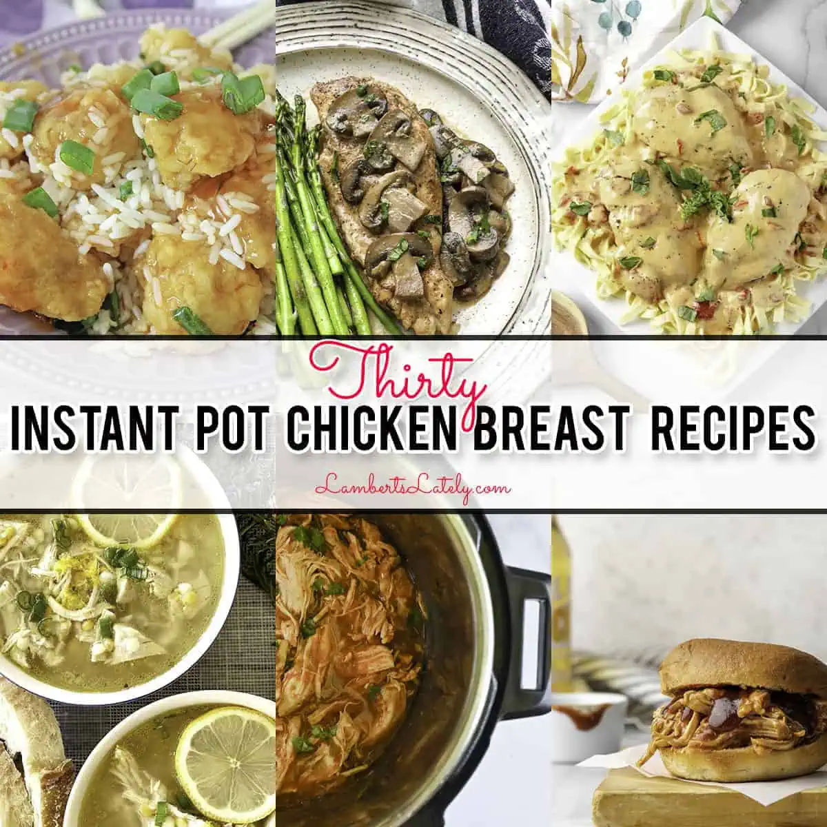 30 Instant Pot Chicken breast recipes.