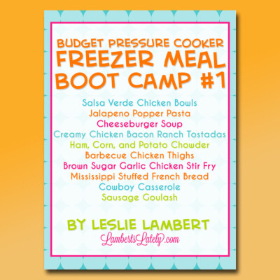 cover for budget freezer meal boot camp 1.