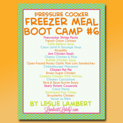 cover for freezer meal boot camp 6.