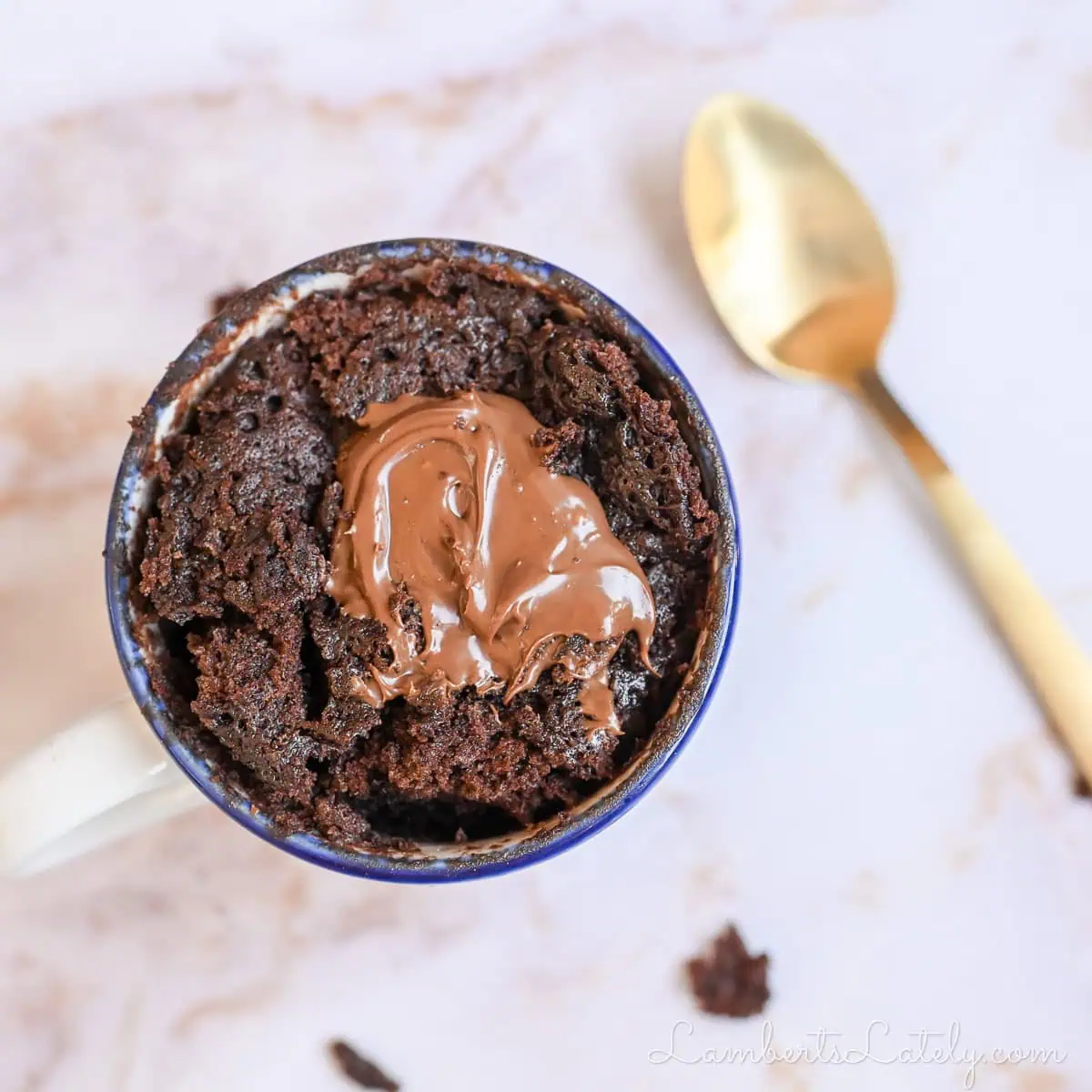 looking down at a spoon and a nutella mug cake.