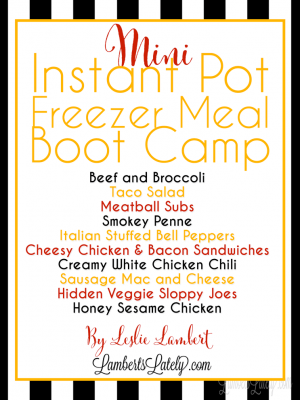 mini freezer meal boot camp.
