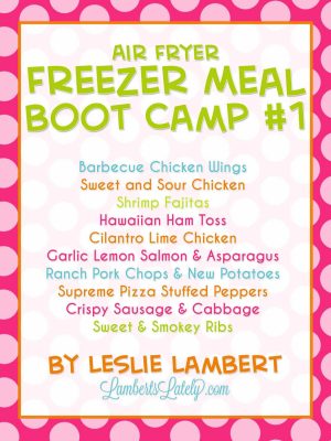 air fryer freezer meal boot camp.