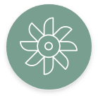 A white, line-drawn flower or fan-like shape is centered on a muted green circular background.