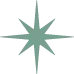 A green four-pointed star shape on a gray background.