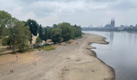 Lindweiler bei Düsseldorf, ruhige Flusslandschaft mit Ufer, Bäumen und Blick auf den Rhein mit Dom im Hintergrund, ideal für Spaziergänge und Naturerlebnisse.