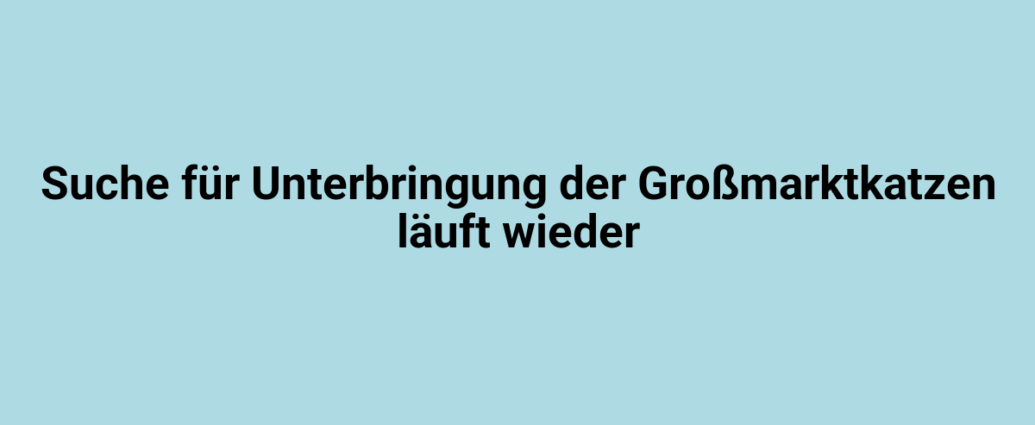 Suche für Großmarktkatzen, Unterbringung, Lindweiler, Tierheim, Katzenpflege, Lindweiler, Großmarktkatzen-Unterbringung, Tierschutz, Tierwohl, Lindweiler-Katzenhilfe.