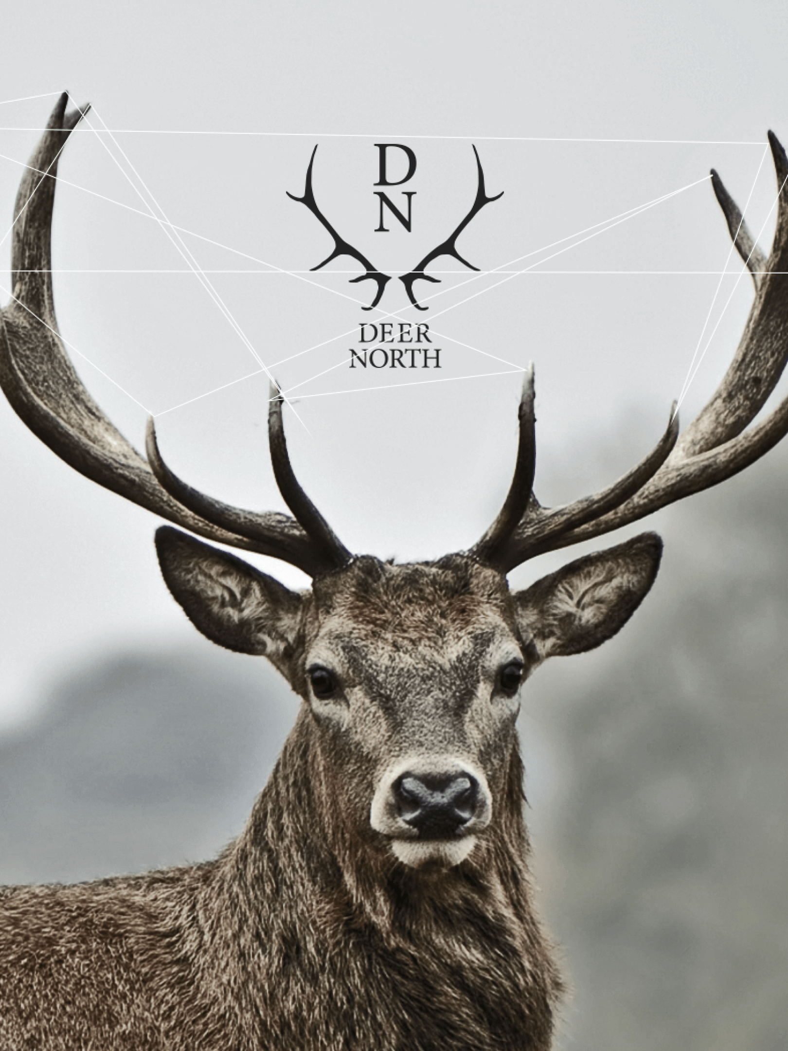 A majestic stag with large antlers, with a logo and text overlay reading 
