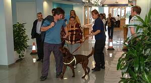 Trained detection dog with handler in a security screening area.
