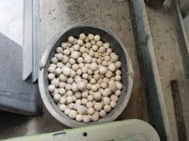 Used 2010 Mining Equipment (General) Grinder | Hammermill Maxsil - For Sale