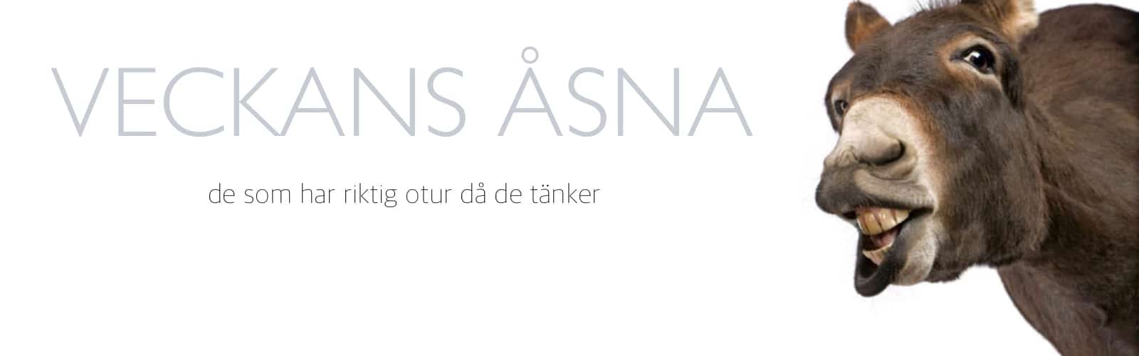 Veckan Åsna är Ewan Spence