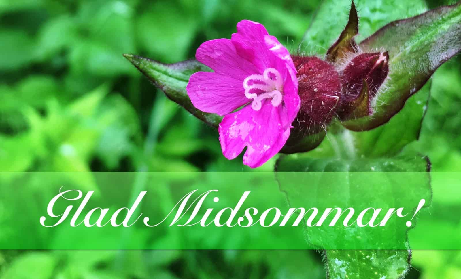 Trevlig och Glad Midsommar!