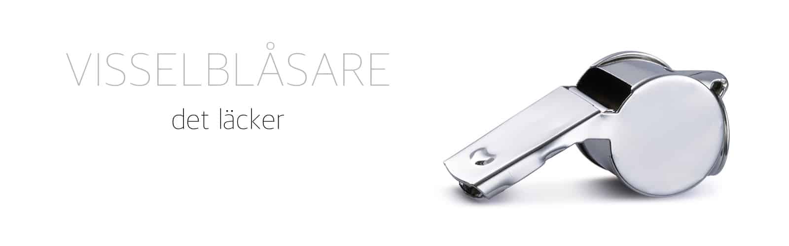 Snowden och Wikileaks hamnar på varsin sida