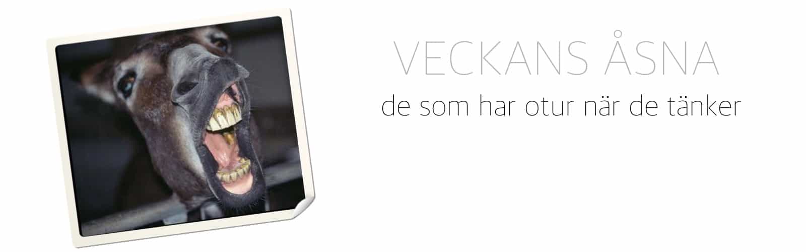 Veckans Åsna: 9 to 5 Mac