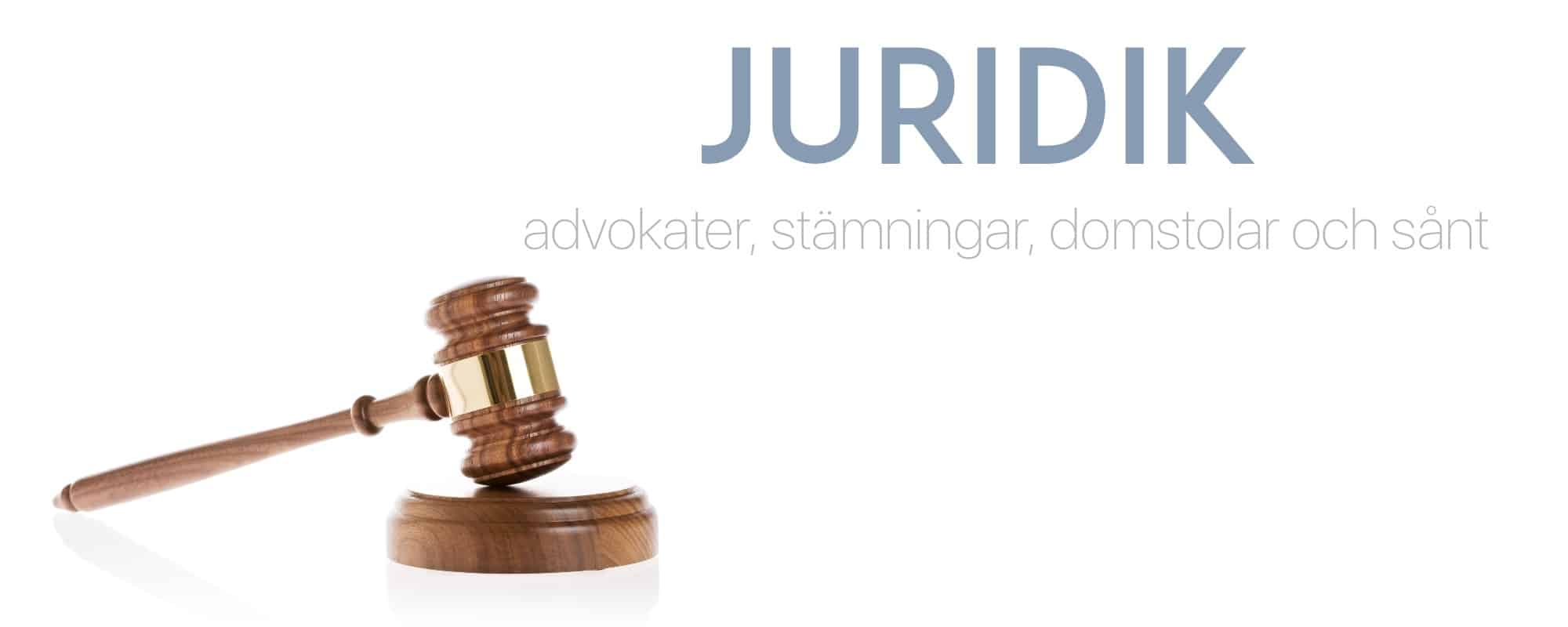 EU court seen ruling on Intel antitrust case next year: judge | Reuters