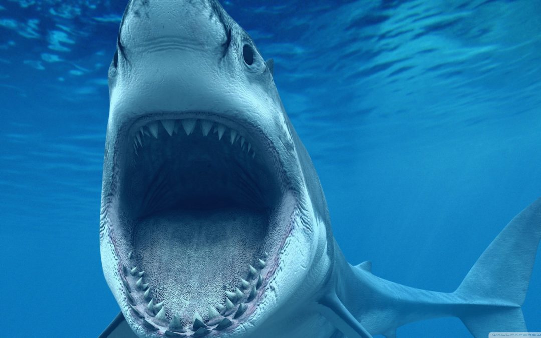 Vatten, vi behöver vatten