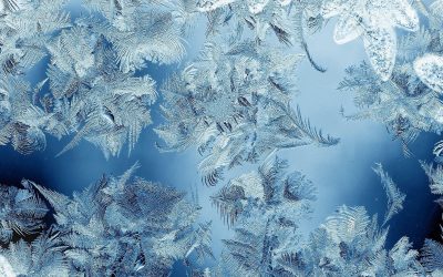 Magasin Mackens Julkalender: Lucka 13