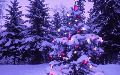 Magasin Mackens Julkalender: Lucka 14
