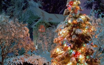 Magasin Mackens Julkalender: Lucka 15