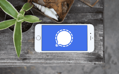 Signal kommer att blockera Microsofts Recall