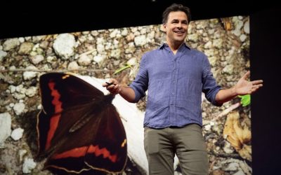 TED: Den överraskande kraften i dina naturbilder