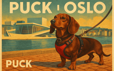 Puck i Oslo – en tax på turné