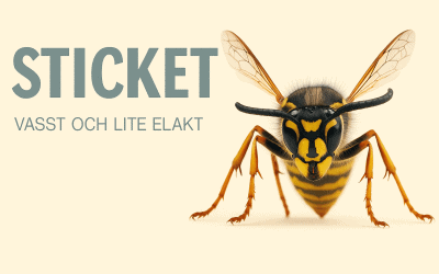Sticket: Cook, Kristersson och Musk – i AI:s märkliga skugga