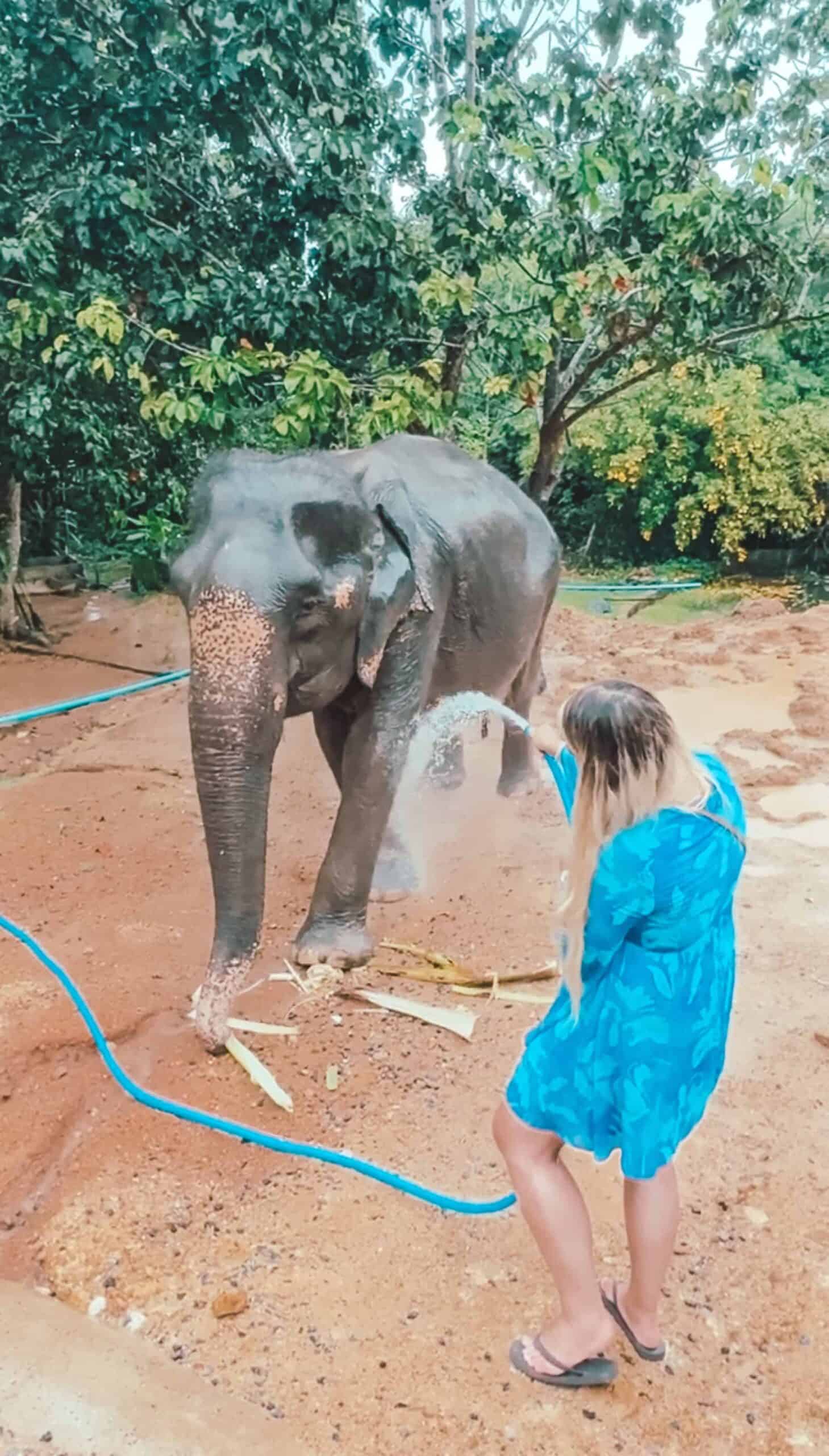 Girl interacting with an elephant at Samui Elephant Home in Thailand.