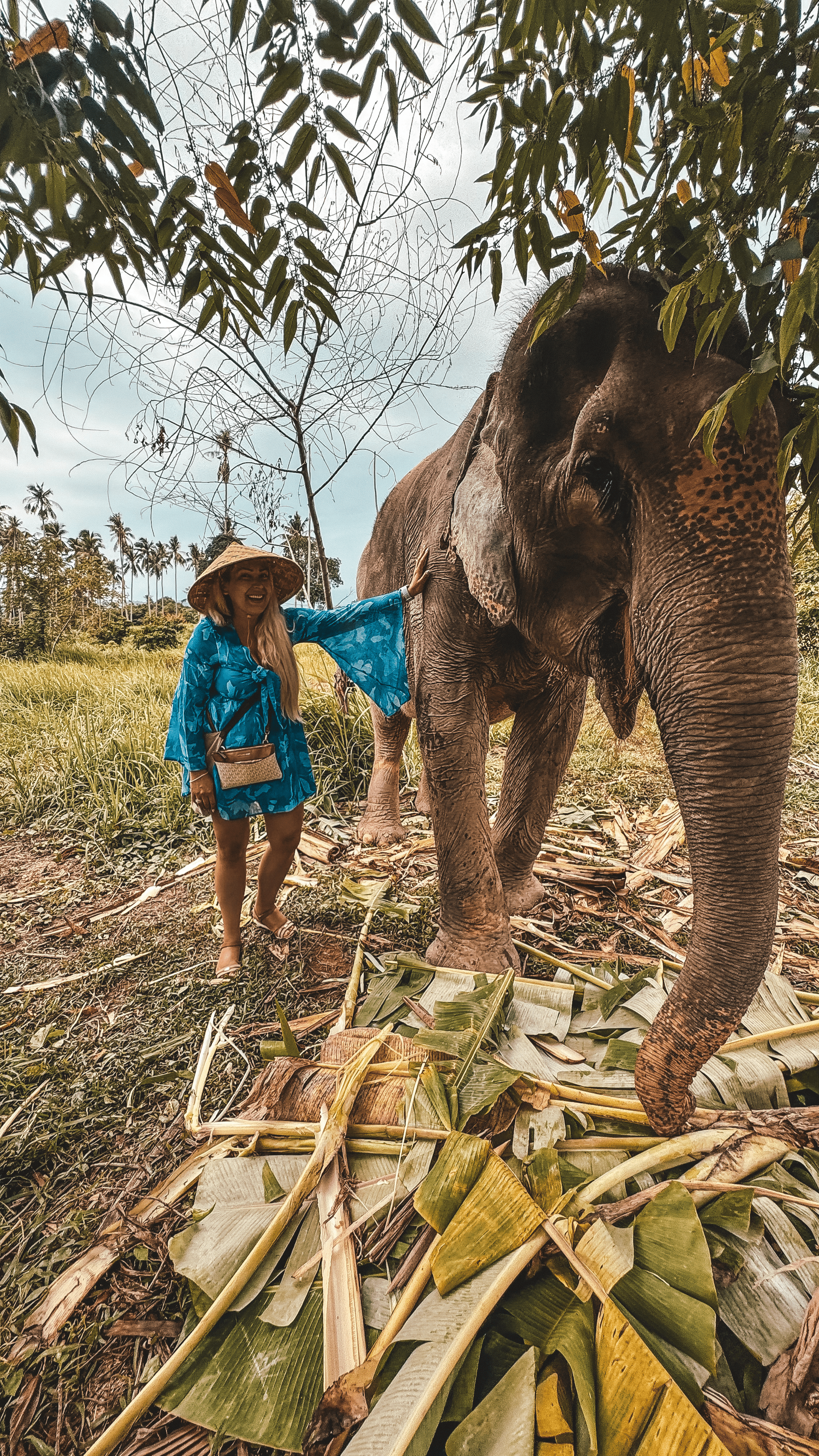 Woman with hat feeding an elephant in lush tropical landscape.