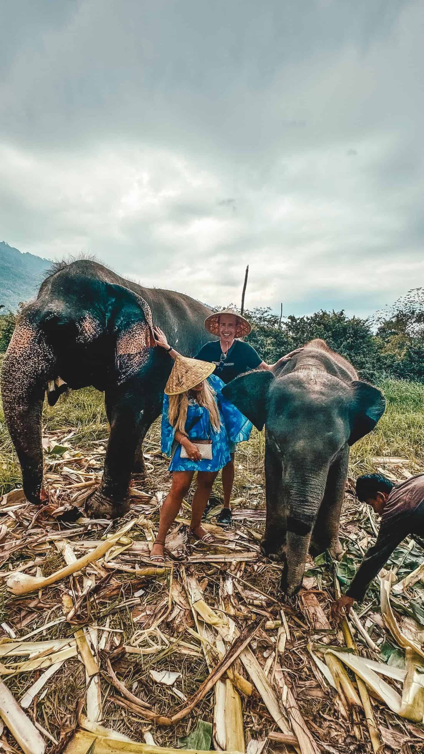 Visitors interacting with elephants at Samui Elephant Home in Thailand.