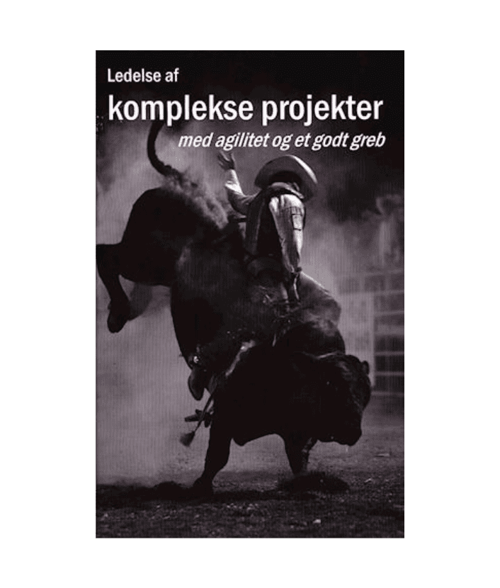 Ledelse af komplekse projekter, Mogens Mikkelsen
