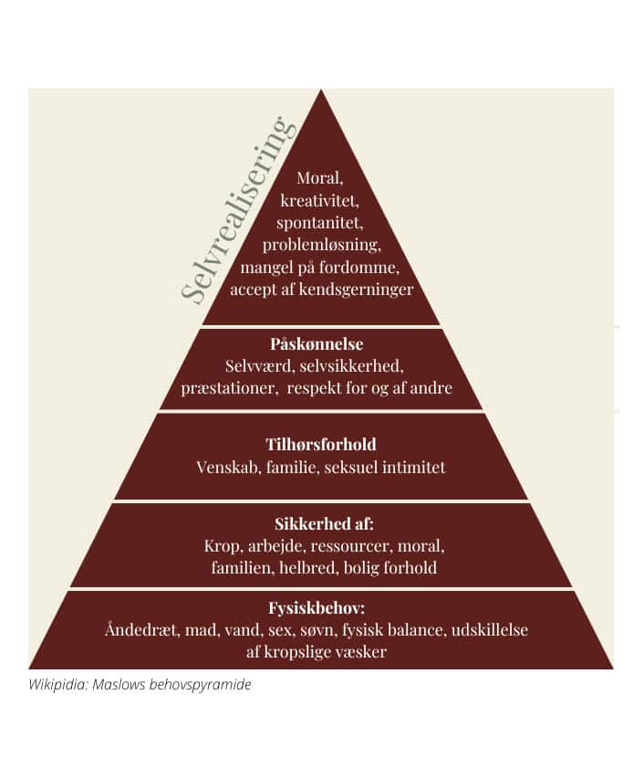 De fem dysfunktioner i et team
